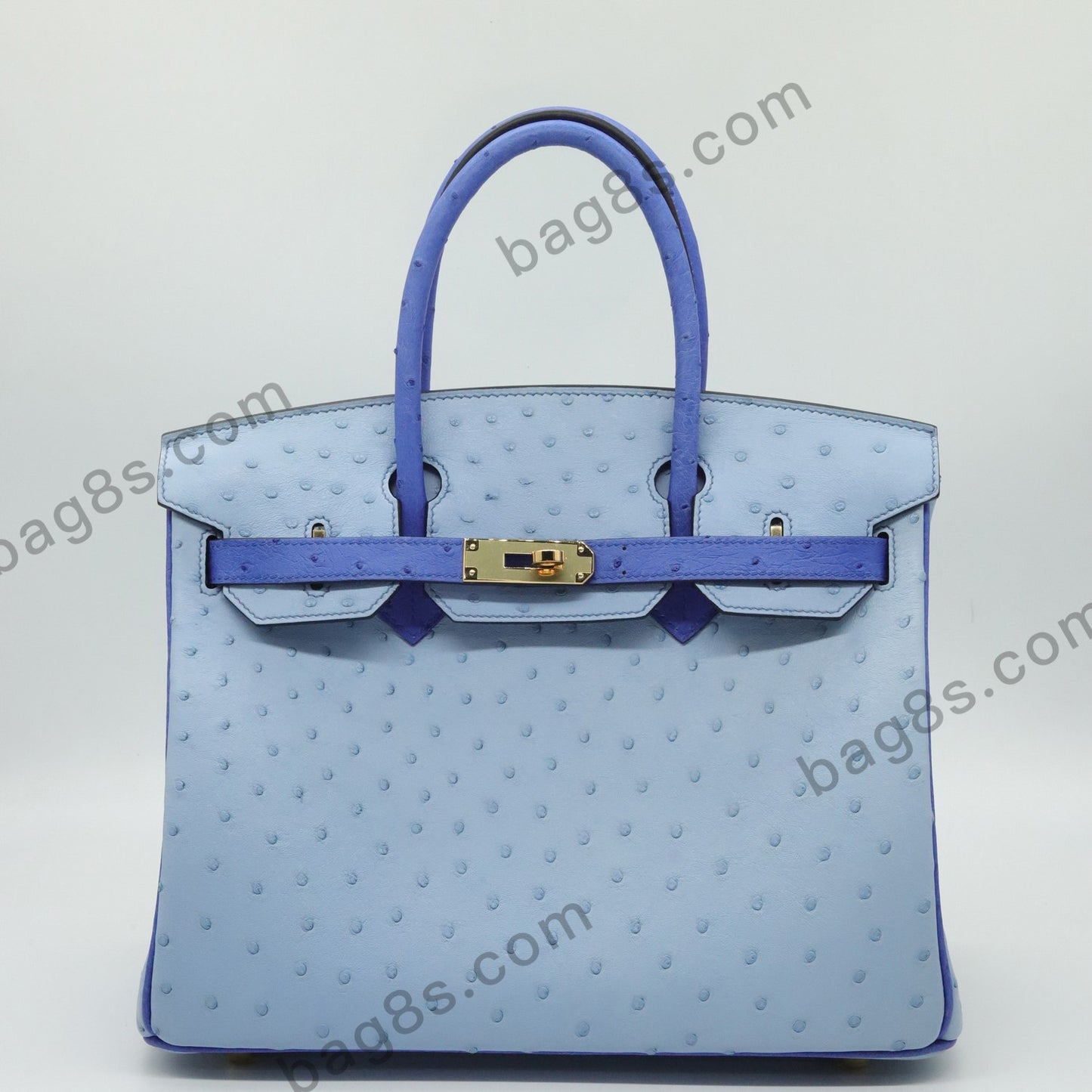 Ostrich leather platinum 30 light blue with electric blue gold buckle