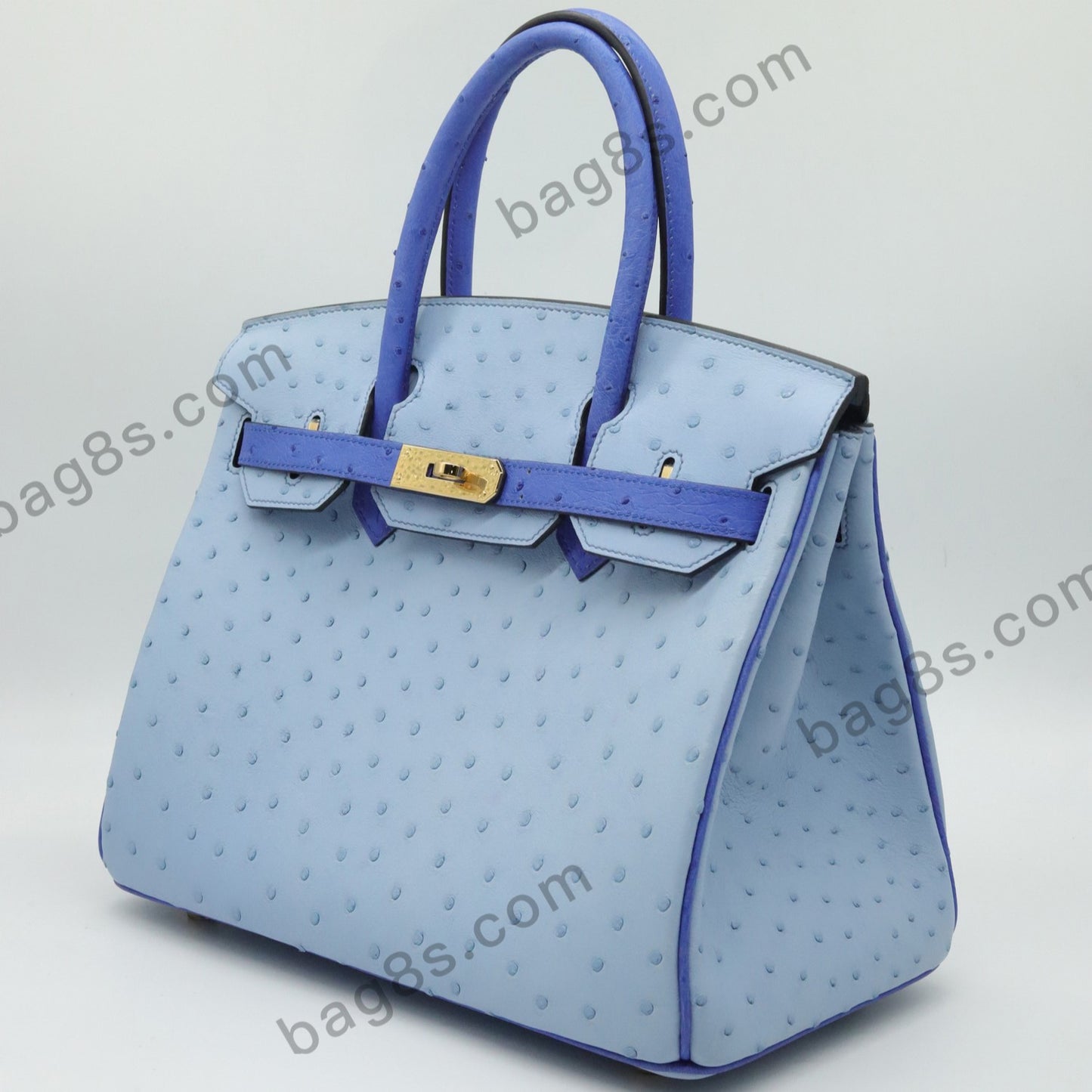 Ostrich leather platinum 30 light blue with electric blue gold buckle