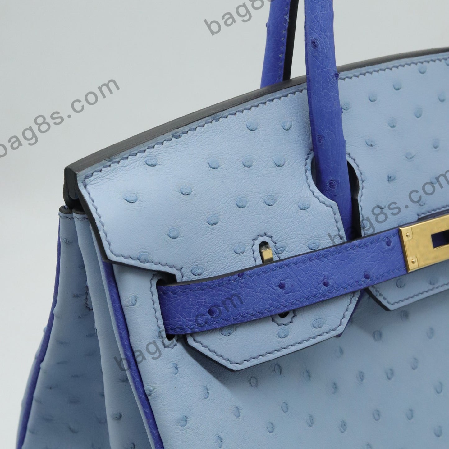 Ostrich leather platinum 30 light blue with electric blue gold buckle