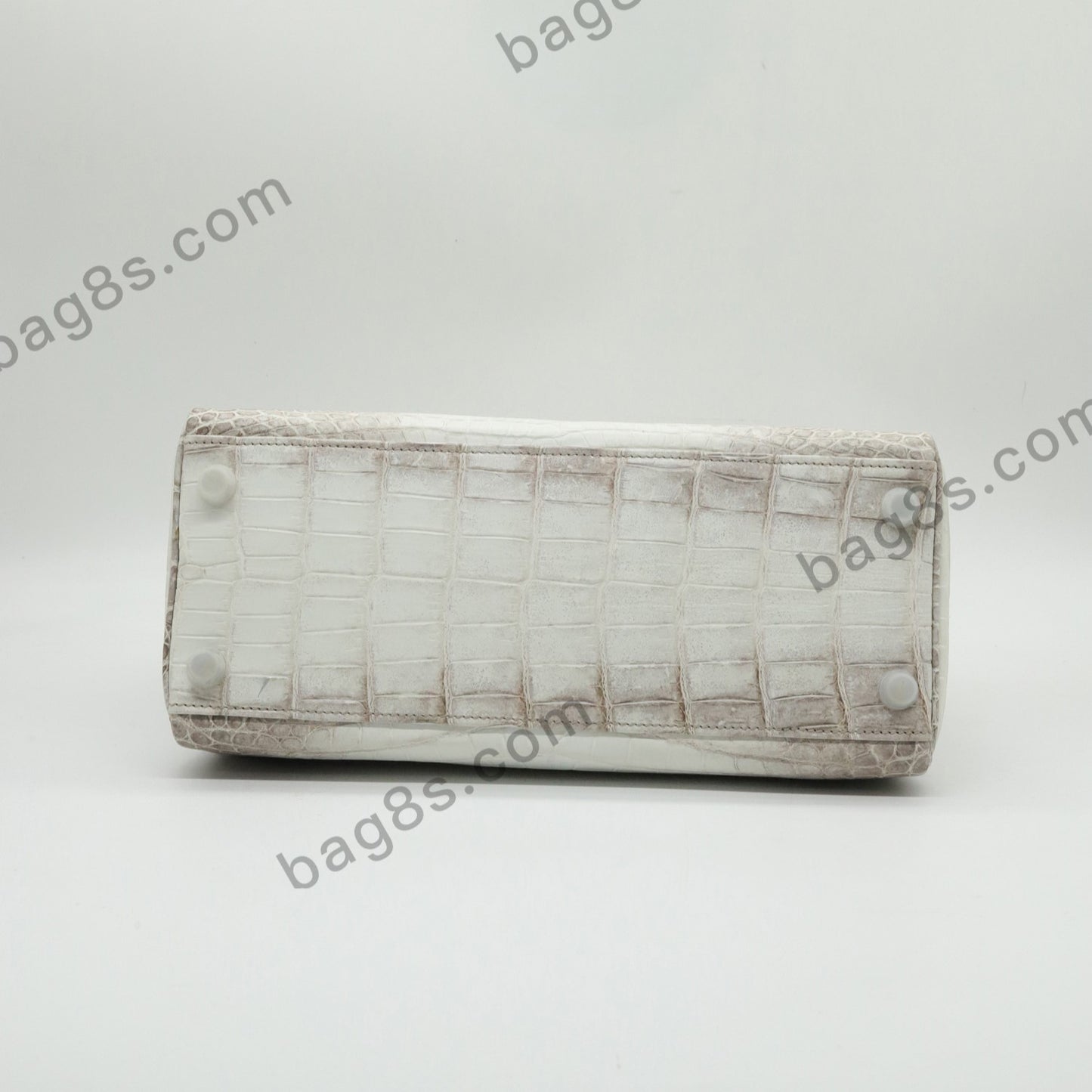 Himalayan Nile Crocodile Kelly 28 Silver Buckle