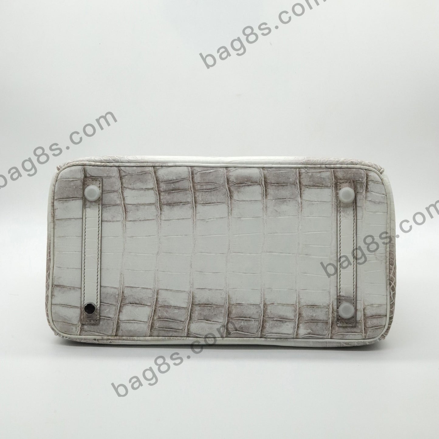 Himalayan Nile Crocodile Platinum 30 Silver Buckle